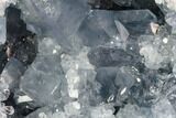 Large, Celestine (Celestite) Geode ( Lbs) - Large Crystals! #104615-2